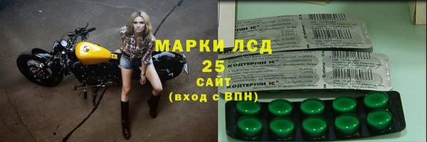 ECSTASY Гусев