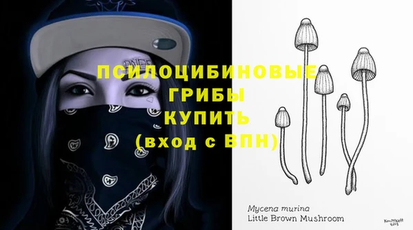 гидра Гусиноозёрск