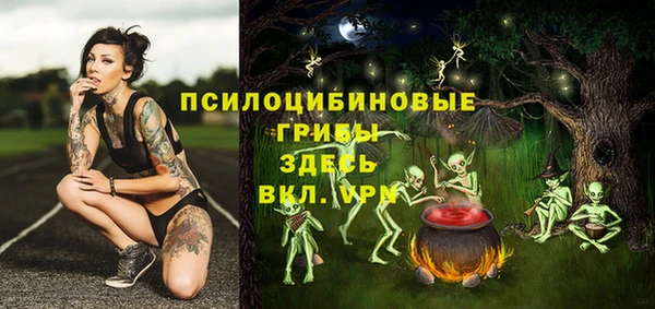 гидра Гусиноозёрск