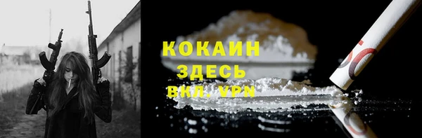 гидра Гусиноозёрск