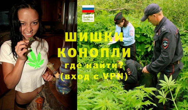 гидра Гусиноозёрск
