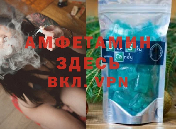 гидра Гусиноозёрск