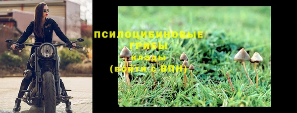 mix Гусь-Хрустальный