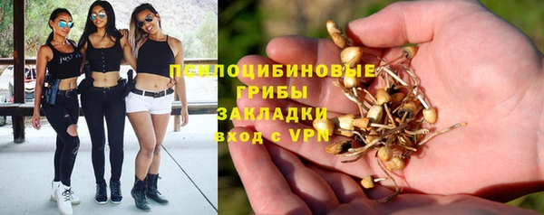 mix Гусь-Хрустальный