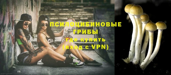 mix Гусь-Хрустальный